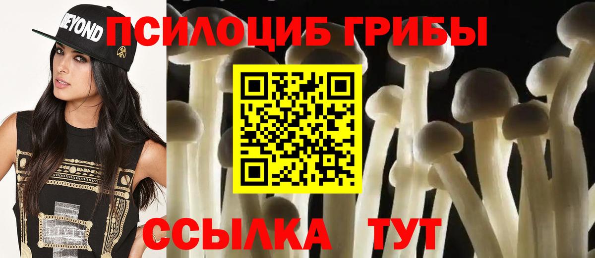Галлюциногенные грибы прущие грибы Сафоново
