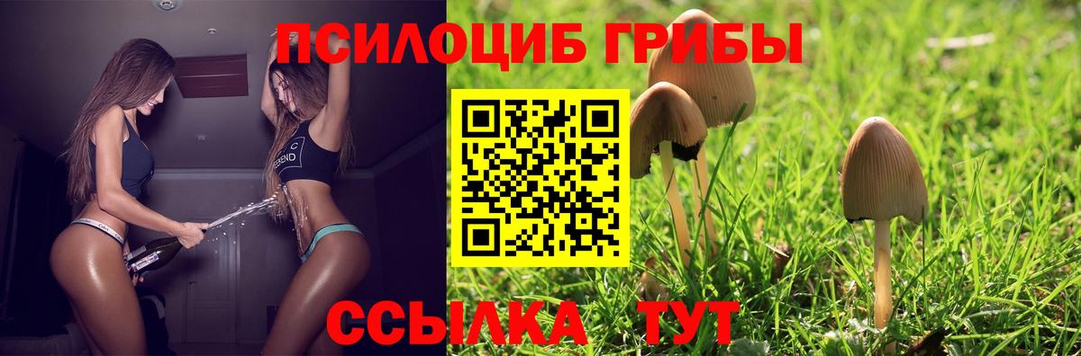 Сафоново  Псилоцибиновые грибы Psilocybine cubensis  Псилоцибиновые грибы MAGIC MUSHROOMS  Вход с VPN 